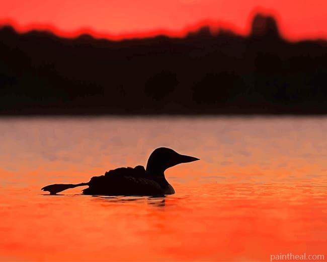 Loons Bird Silhouette Painting By Numbers Kits