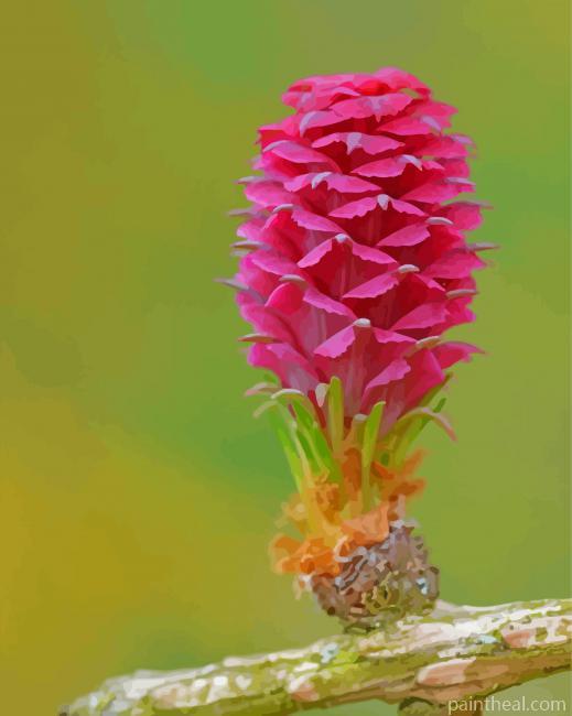 Larch Flower Painting By Numbers Kits