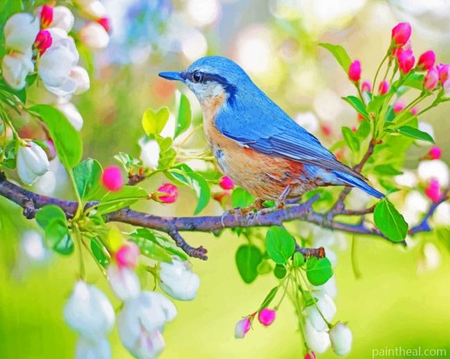 Spring Bird Painting By Numbers Kits