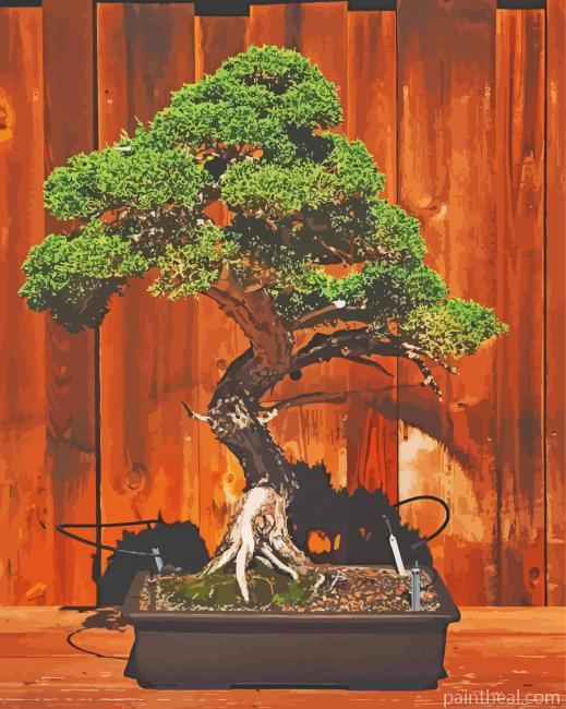 Bonsai Tree Painting By Numbers Kits