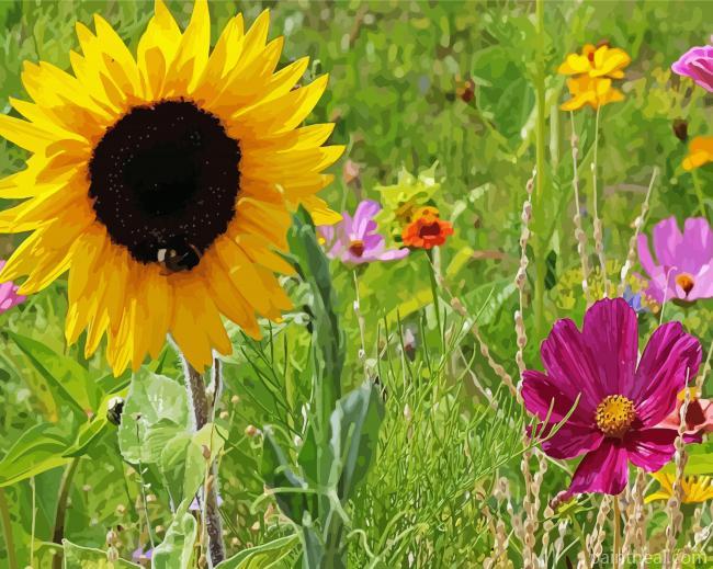 Wildflower Meadow Wildflowers Painting By Numbers Kits