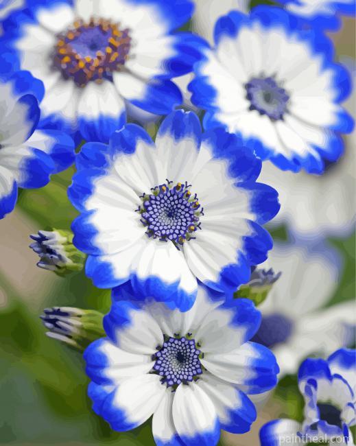 White Blue Flowers Painting By Numbers Kits