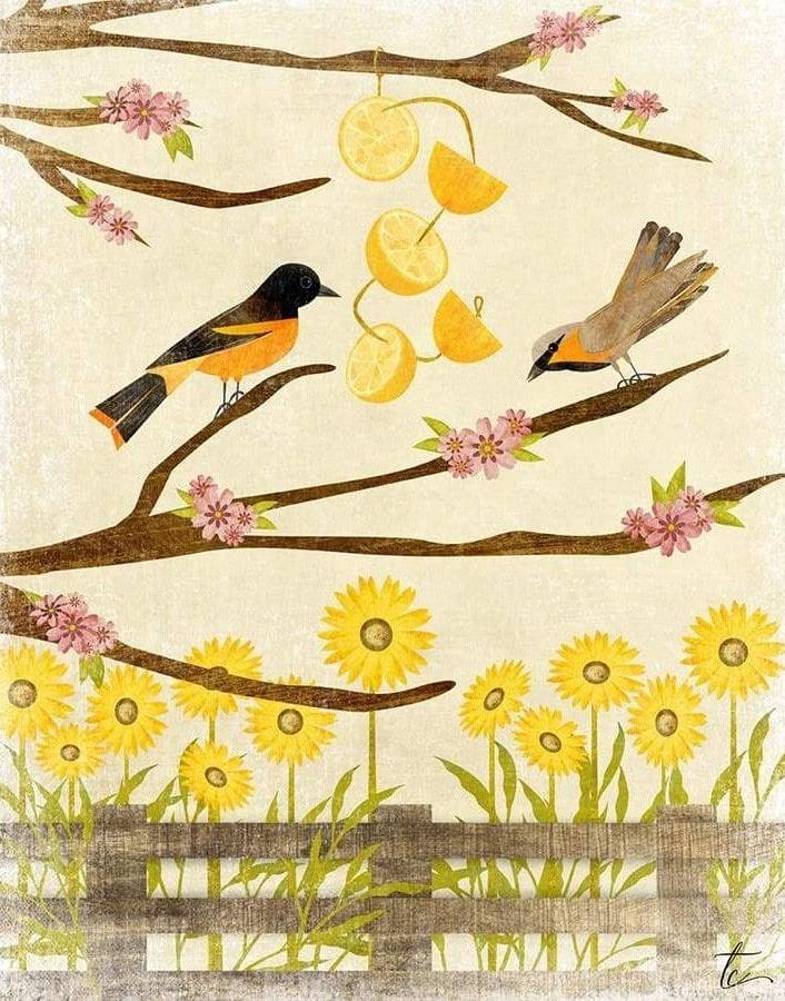 Oriole Birds Art Painting By Numbers Kits
