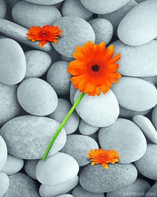 Orange Gray Flowers Painting By Numbers Kits