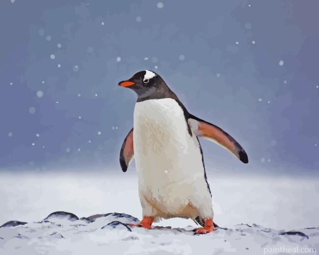 Gentoo Penguin Bird Painting By Numbers Kits