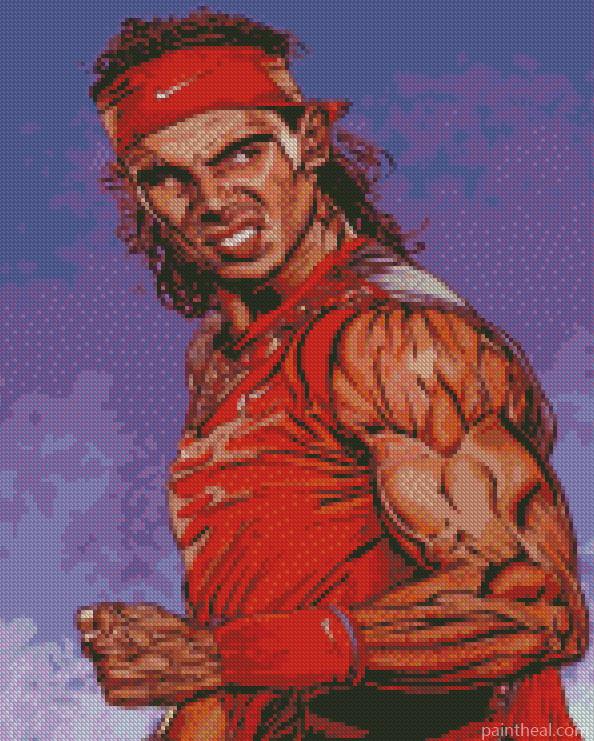 Rafael Nadal Painting By Numbers Kits