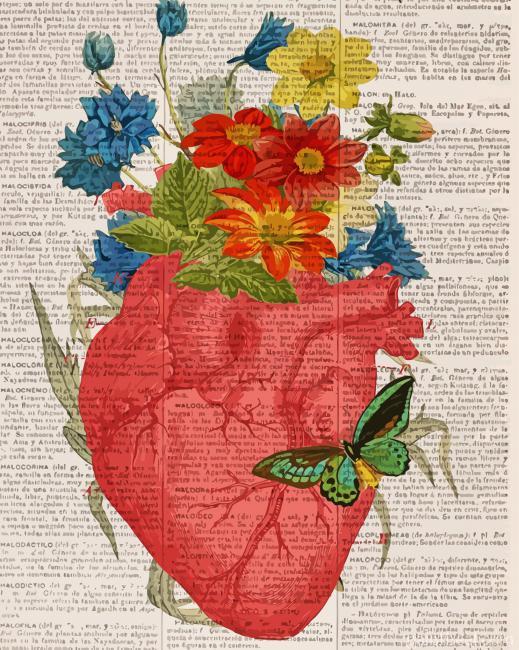 Floral Heart Anatomy Illustrations Painting By Numbers Kits