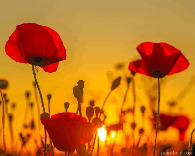Red Flowers Sunset Painting By Numbers Kits