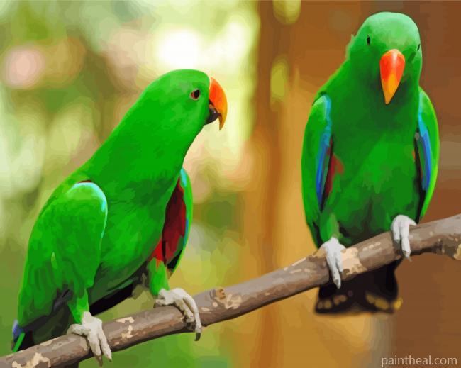 Green Eclectus Birds Painting By Numbers Kits