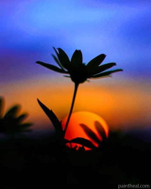 Flower Silhouette NEW Painting By Numbers Kits