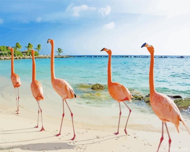 Flamingos In Aruba Beach Painting By Numbers Kits