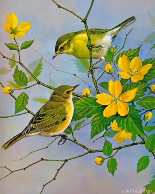 Yellow Finch Birds Painting By Numbers Kits