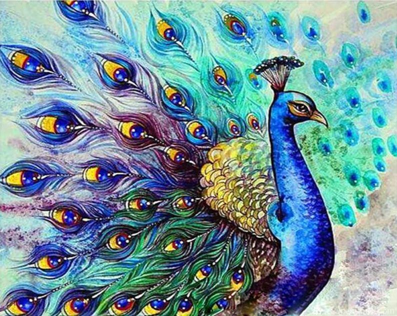 Peacock With Feathers Open Painting By Numbers Kits