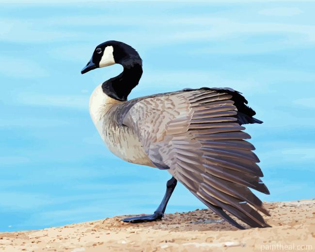 Canada Geese Bird Painting By Numbers Kits