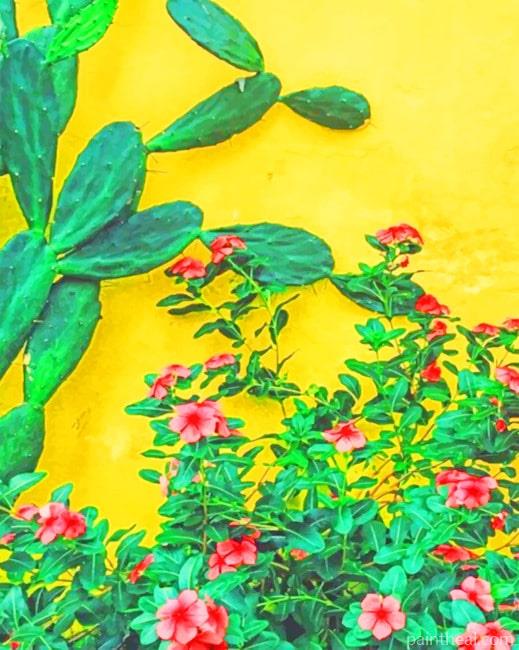 Cactus Plants Painting By Numbers Kits