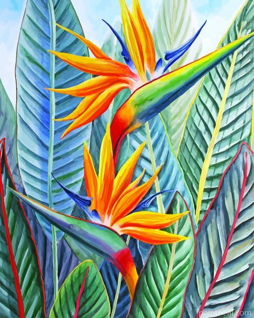 Strelitzia Bird Of Paradise- Paint By Number Painting By Numbers Kits
