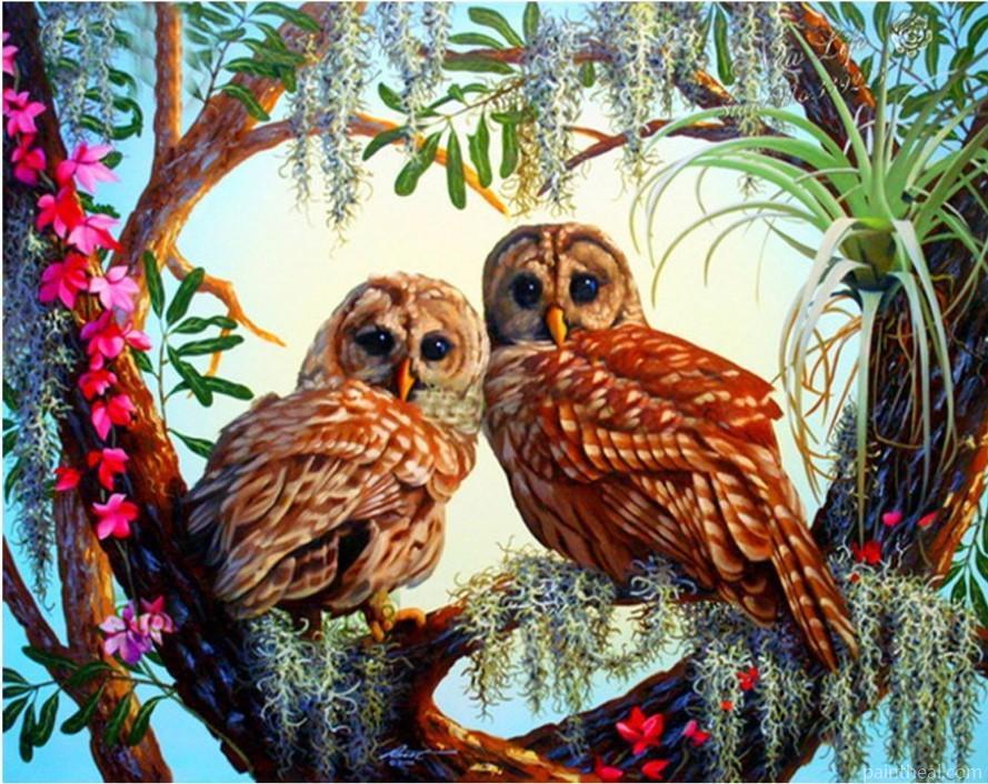 Owls On Tree Painting By Numbers Kits