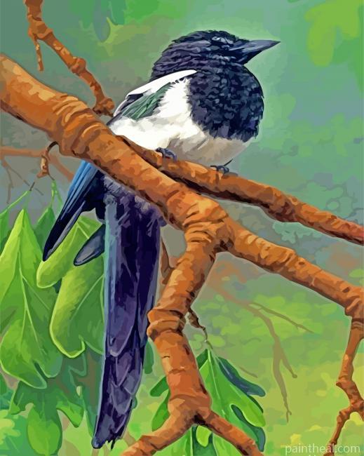 Magpie Bird On Stick Painting By Numbers Kits