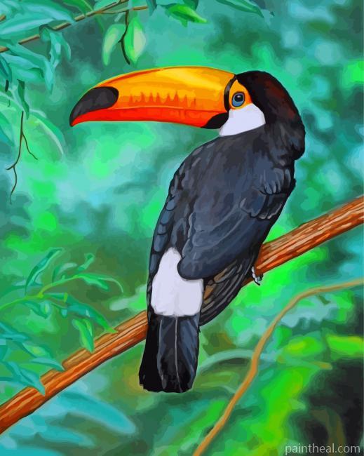 Tropical Toucan Painting By Numbers Kits