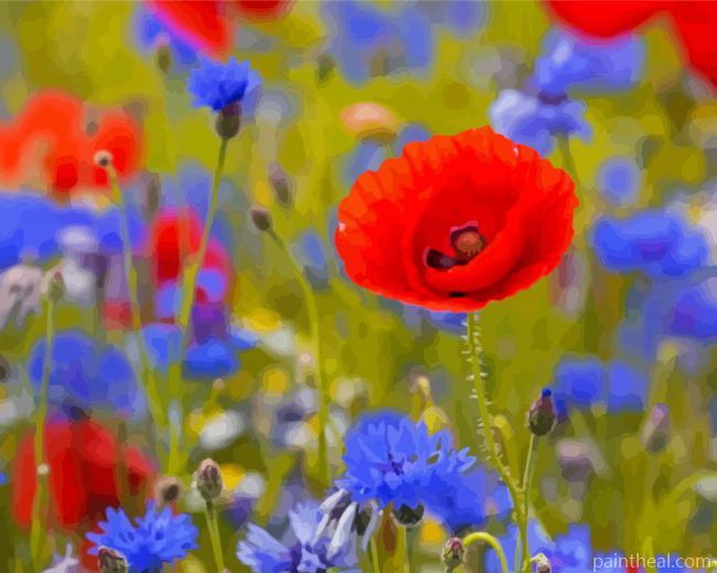 Aesthetic Red Poppies And Blue Cornflowers Painting By Numbers Kits