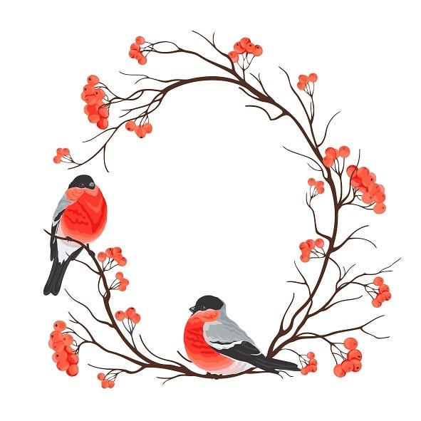 Birdss On Branch Painting By Numbers Kits