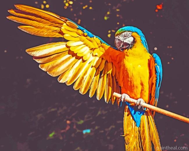 Parrot Wing Painting By Numbers Kits