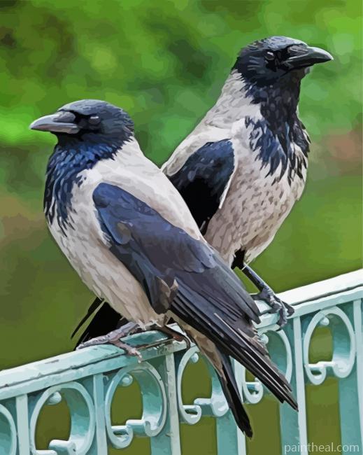Wrona Birds Painting By Numbers Kits