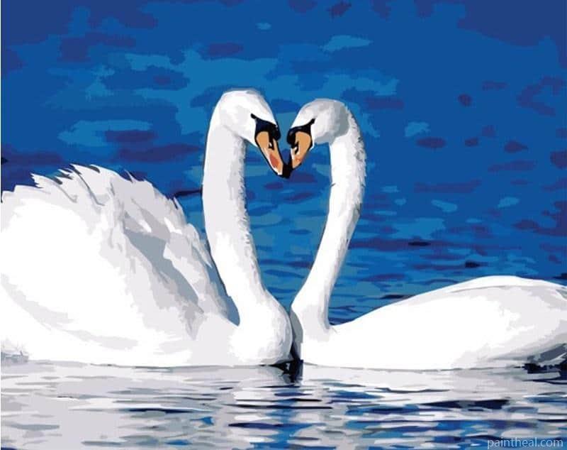 Swan Birds Couple Painting By Numbers Kits
