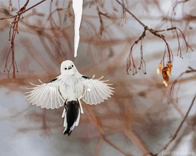 Flying Long Tailed Tit Painting By Numbers Kits