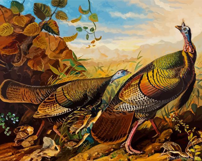 Wild Turkey And Hen Painting By Numbers Kits