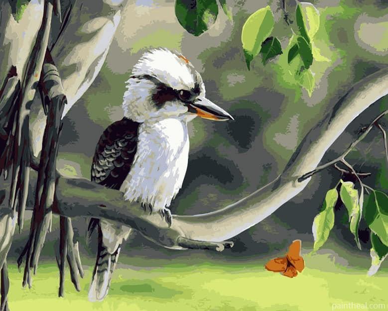 Laughing kookaburra On Tree Stick Painting By Numbers Kits