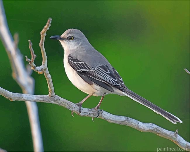 Aesthetic Mockingbird Painting By Numbers Kits