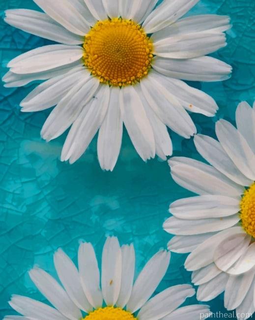 Common Daisy NEW Painting By Numbers Kits