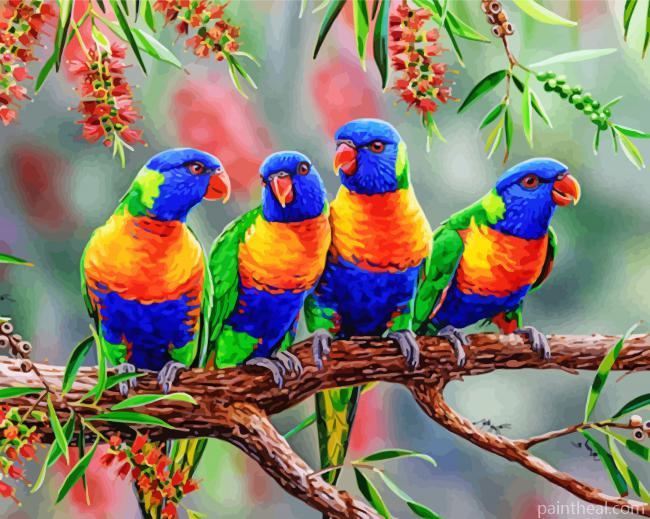 Lorikeets Row Painting By Numbers Kits