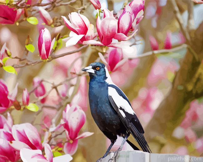 Australian Magpies With Pink Tree Painting By Numbers Kits