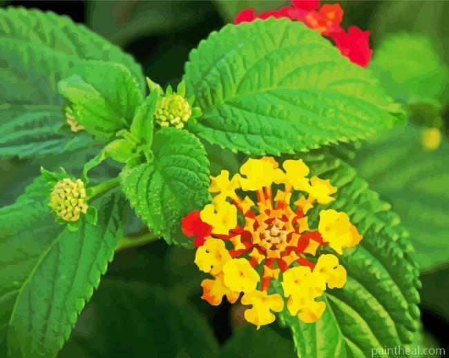 Yellow Lantanas Flowers Painting By Numbers Kits