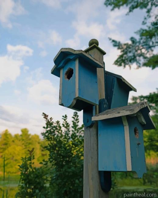 Blue Bird Houses Painting By Numbers Kits