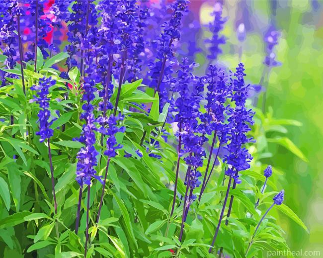 Aesthetic Sage Flowers Painting By Numbers Kits