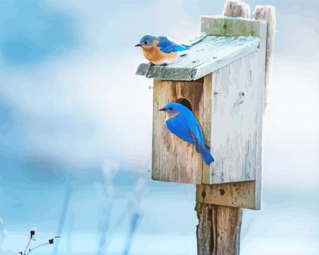 Birds And Bird Houses Painting By Numbers Kits