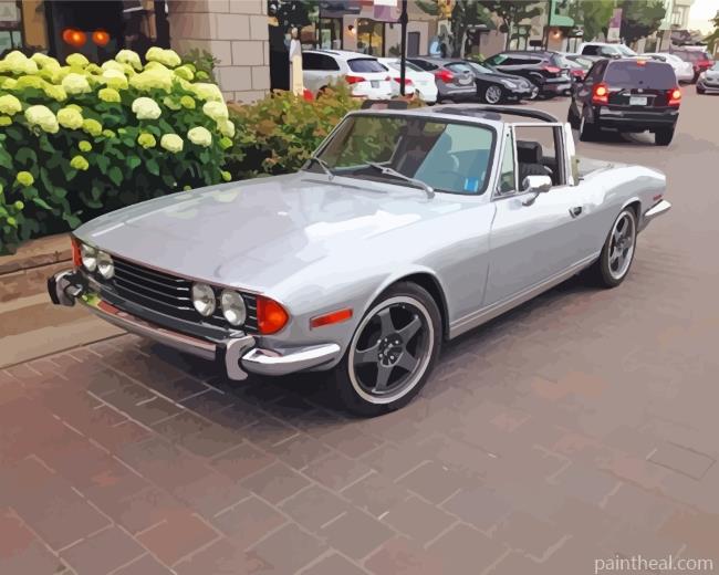 Grey Triumph Stag Painting By Numbers Kits