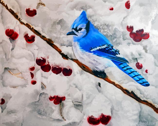 Blue Jay In Winter Snow Painting By Numbers Kits