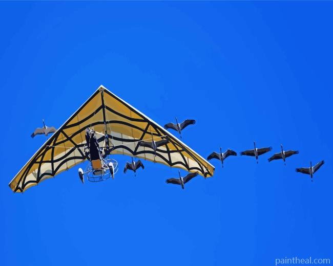 Glider And Birds Painting By Numbers Kits