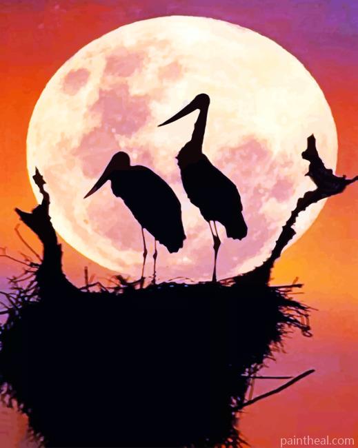 White Stork Birds Painting By Numbers Kits