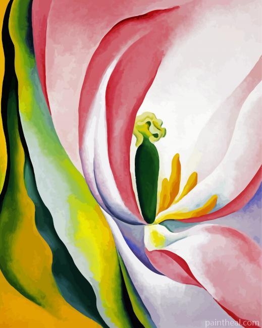 Geogia Okeffe Pink Tulip Painting By Numbers Kits