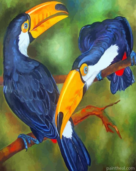 Toucans Birds Painting By Numbers Kits