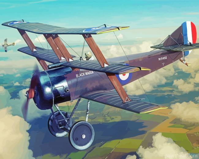 Black Fight Triplane Painting By Numbers Kits