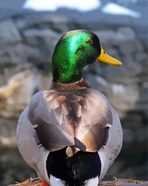 Aesthetic Back Duck Painting By Numbers Kits