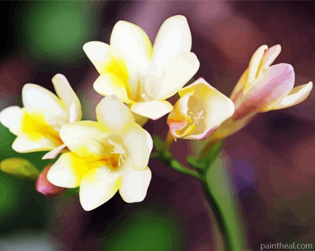 White Freesia Painting By Numbers Kits