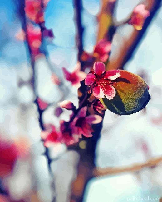 Peach And Peach Blossoms Painting By Numbers Kits