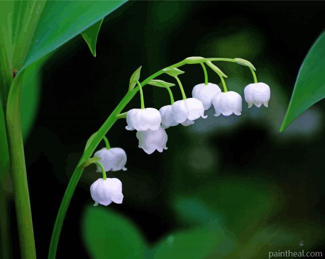 White Lili Of The Valley Painting By Numbers Kits